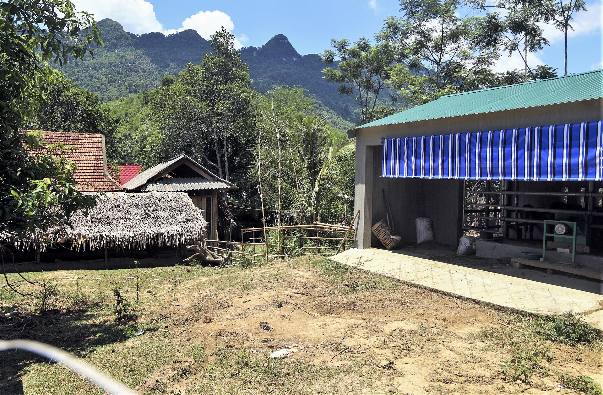 chuong bo 230 trieu o Nghe An anh 1