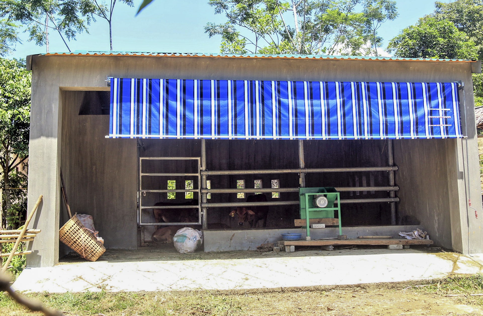 chuong bo 230 trieu o Nghe An anh 13