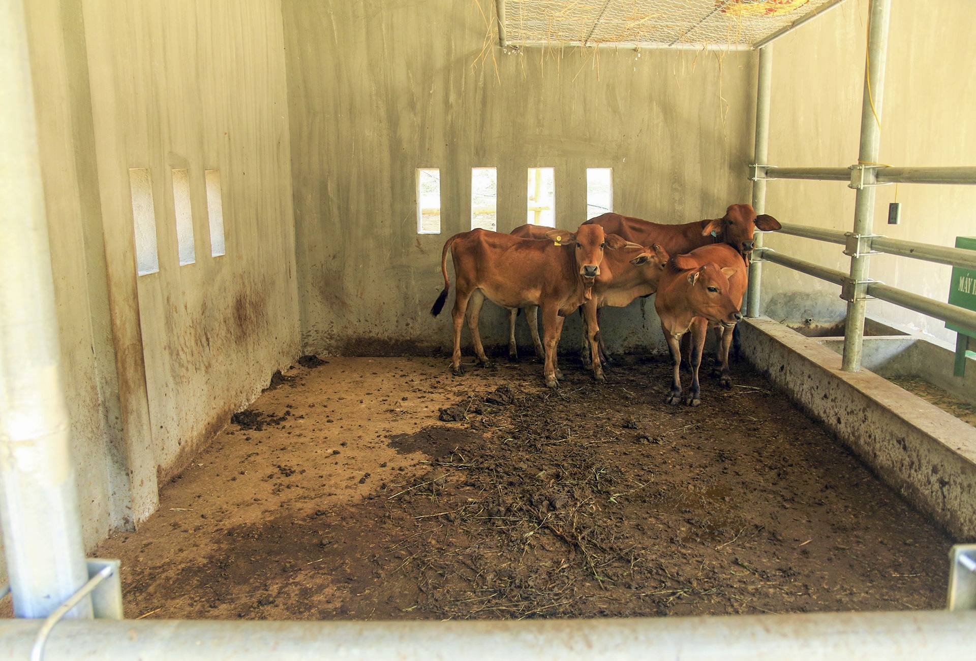 chuong bo 230 trieu o Nghe An anh 6