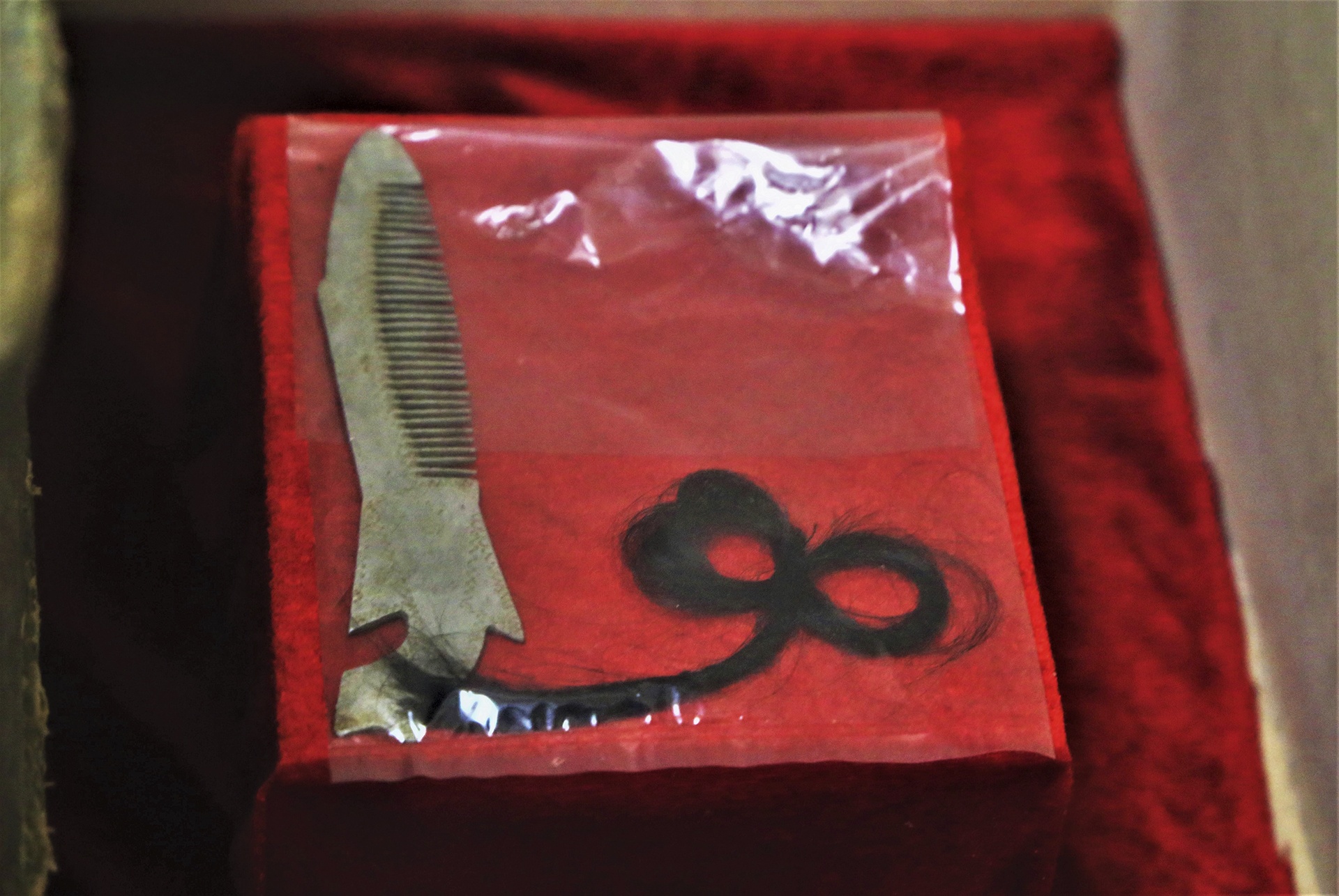 chien thang Nga ba Dong Loc anh 8