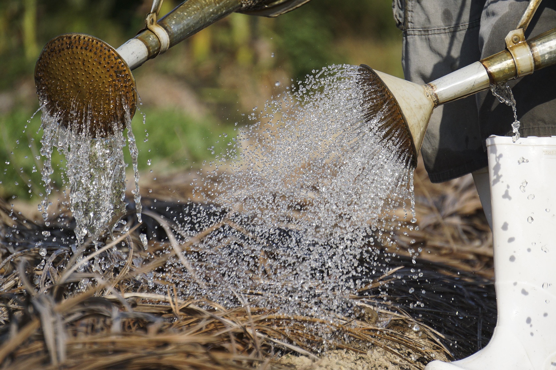 ho tro day vi nang nong anh 12