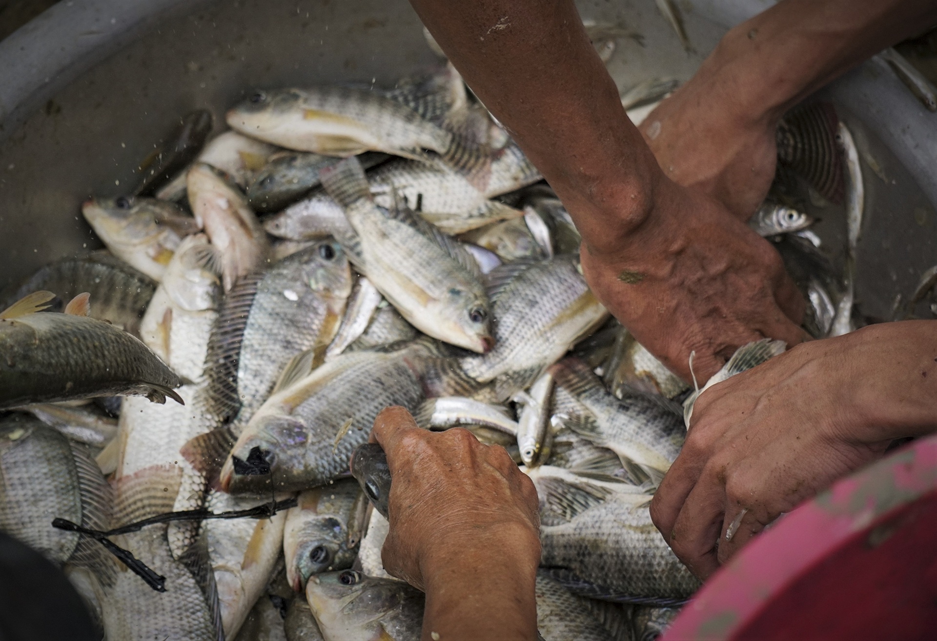 ho tro day vi nang nong anh 7