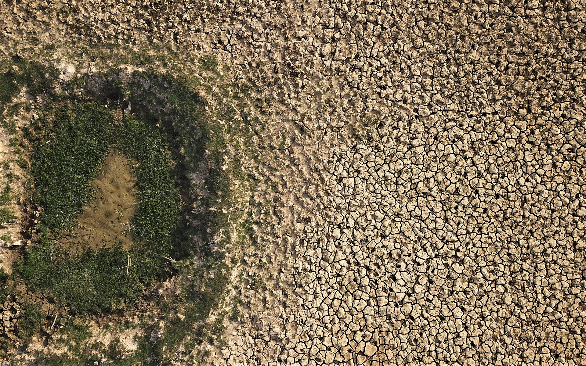 ho tro day vi nang nong anh 9