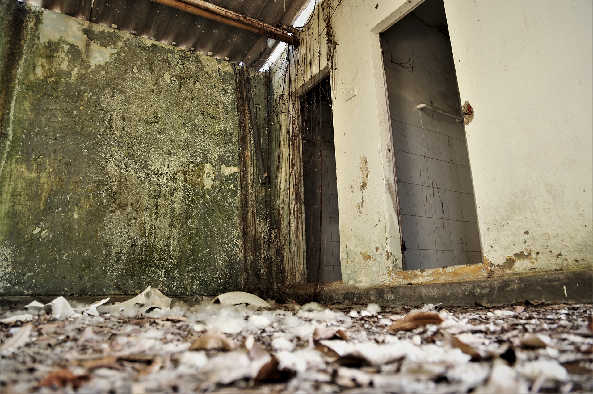 khu du lich hoang tan anh 10