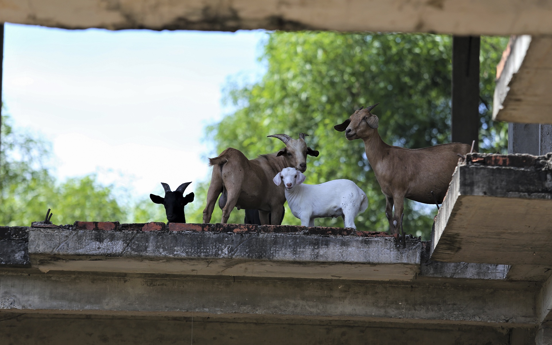 khu du lich hoang tan anh 13