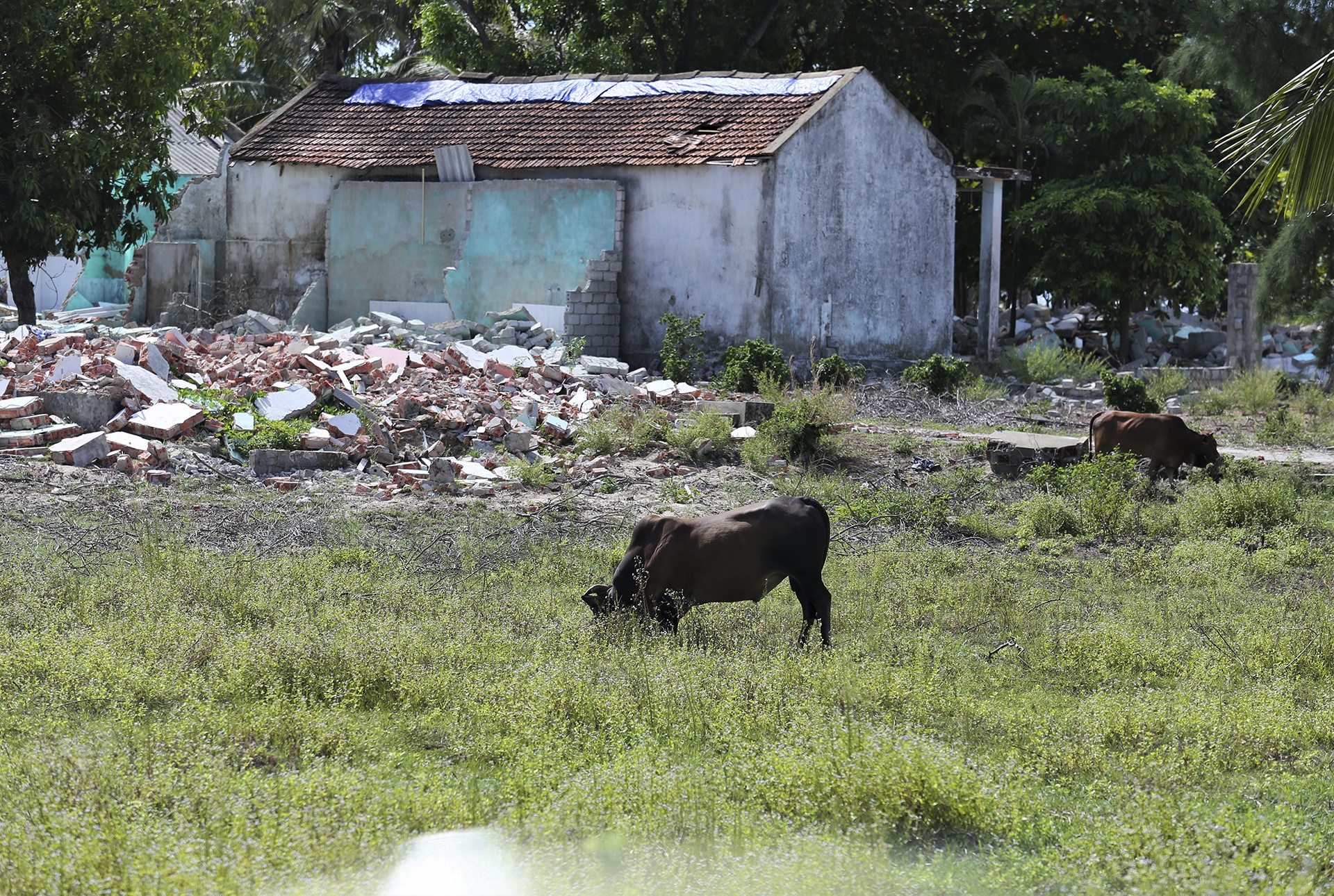 khu du lich hoang tan anh 14