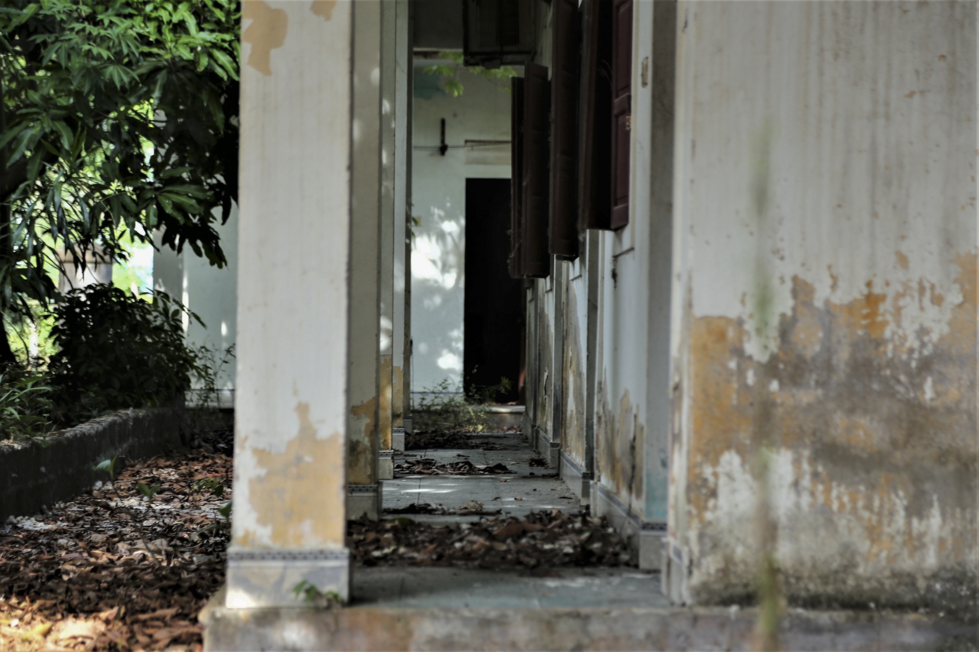 khu du lich hoang tan anh 5