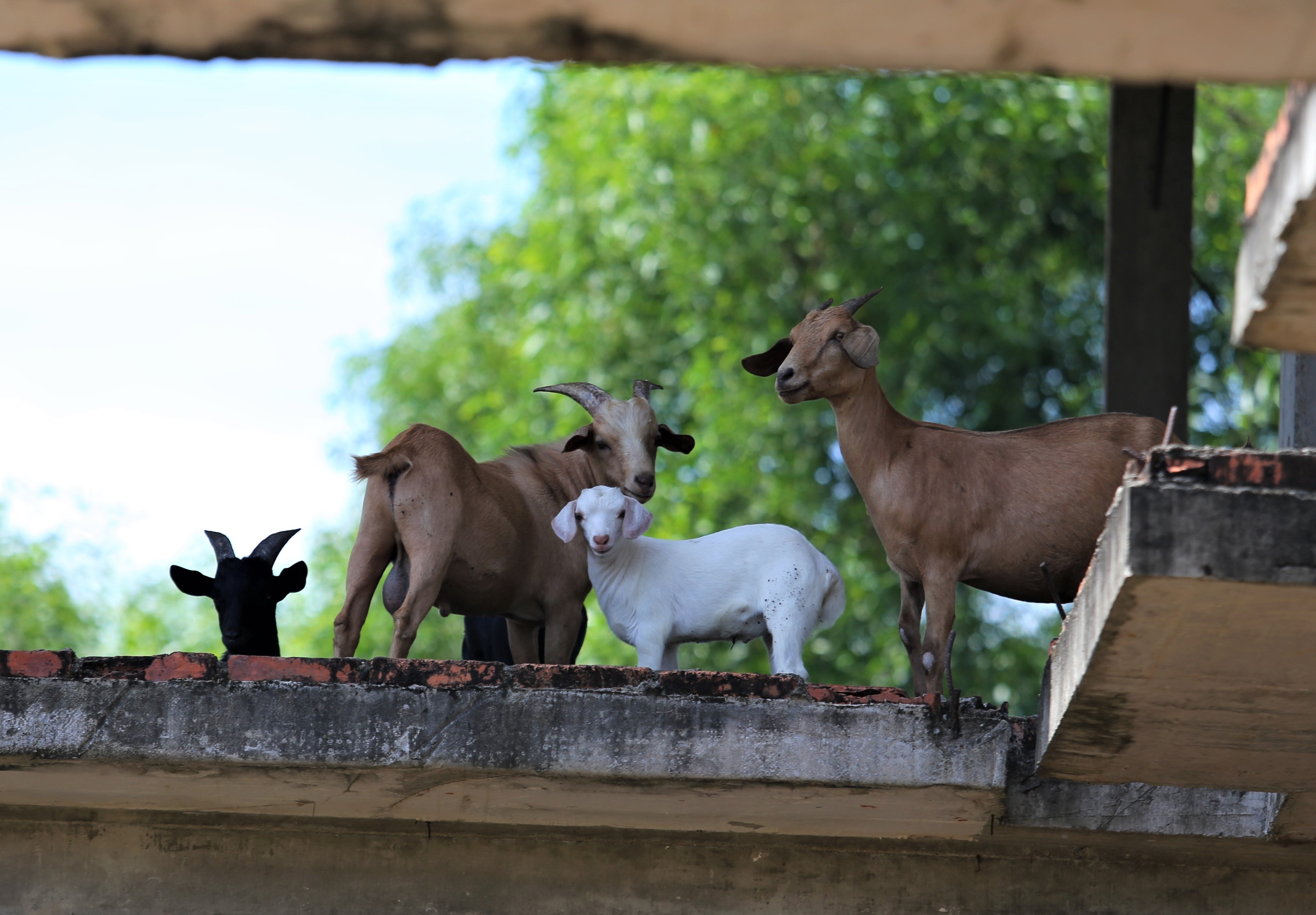 Khu du lich bien Xuan Thanh hoang tan, thanh noi chan de hinh anh
