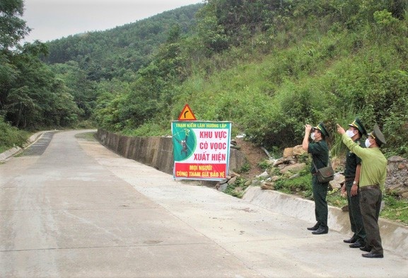 vooc  gay trang tan cong nguoi anh 3