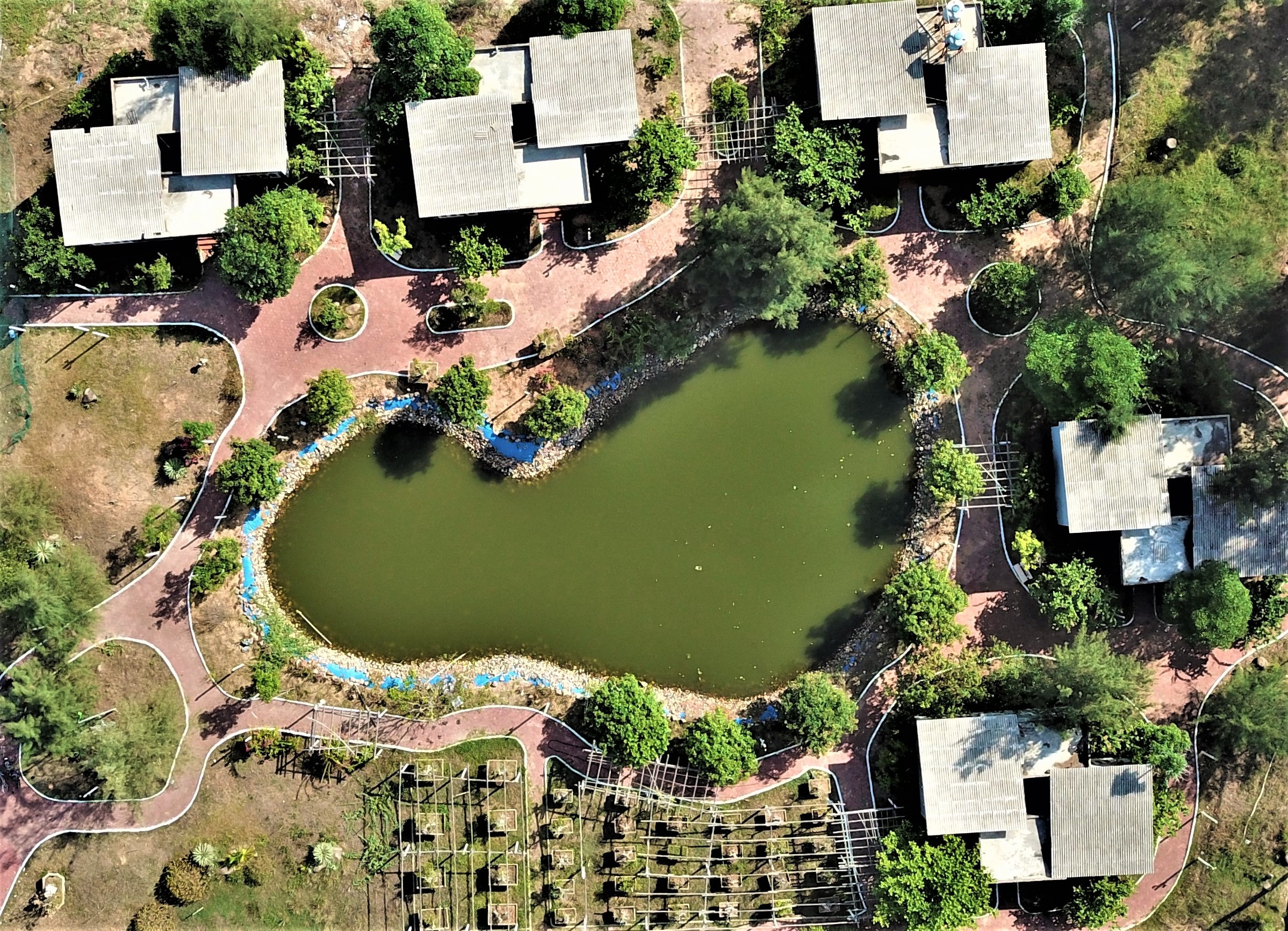 Canh diu hiu o khu du lich tram ty ven bien Thien Cam hinh anh