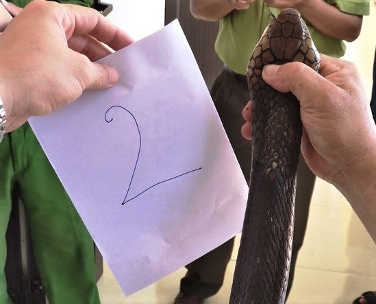 ban ho mang chua anh 1