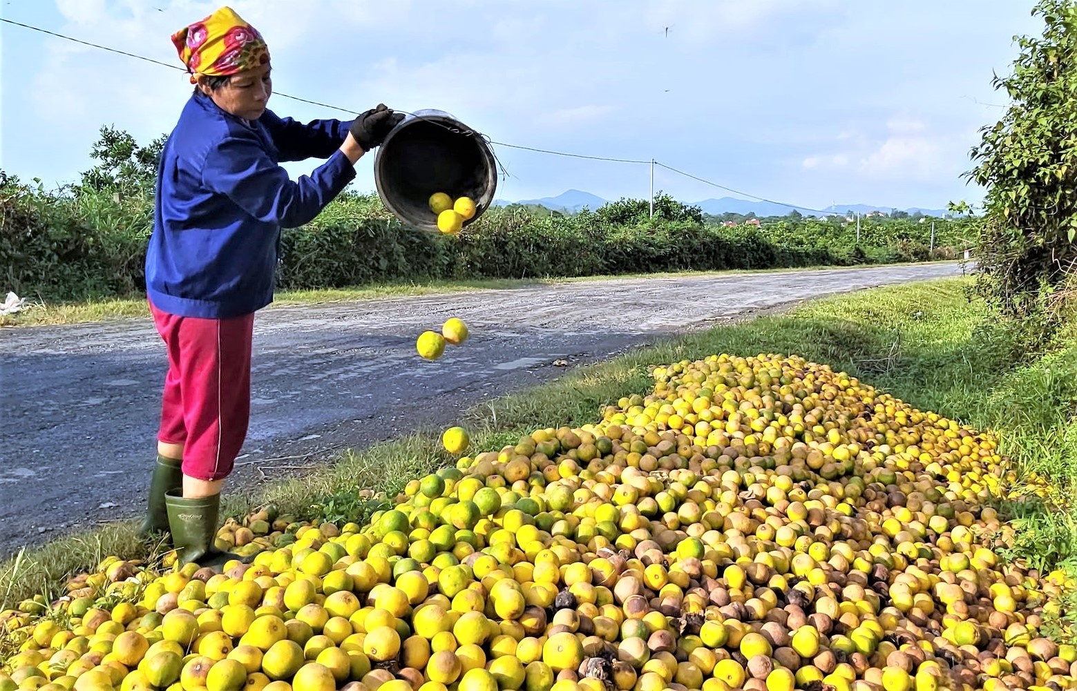 cam dac san rung bat thuong anh 2