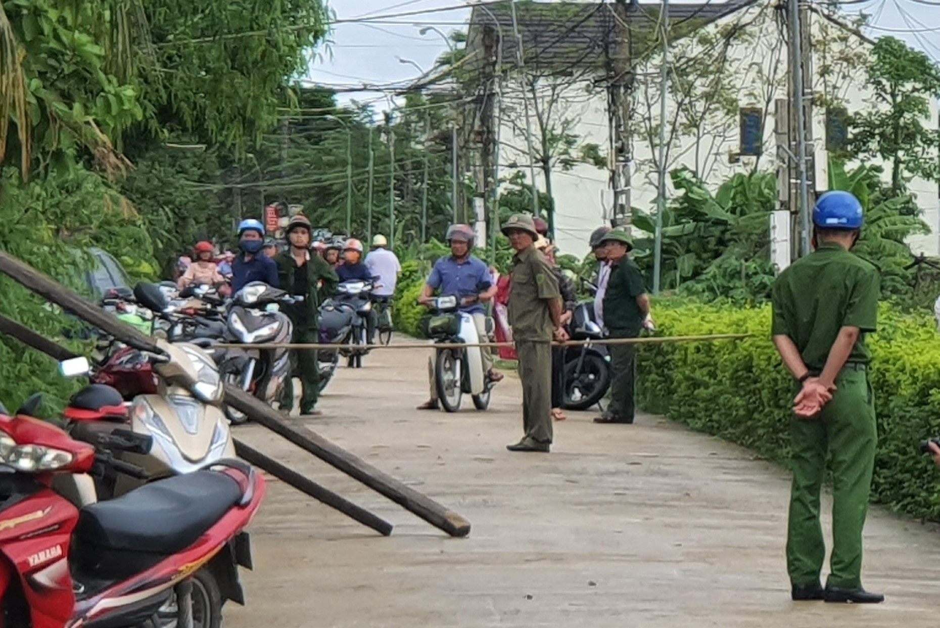 Nguoi dan ong truy sat gia dinh vo cu hinh anh