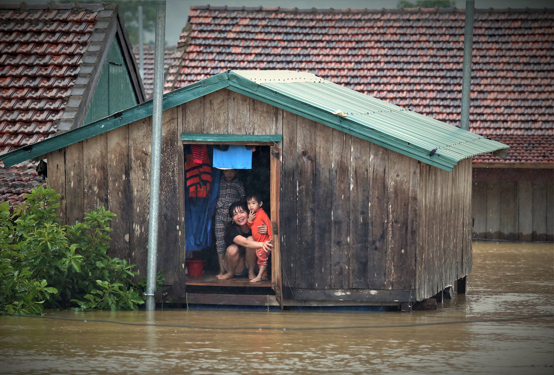 Hang tram ngoi nha chim trong nuoc lu hinh anh