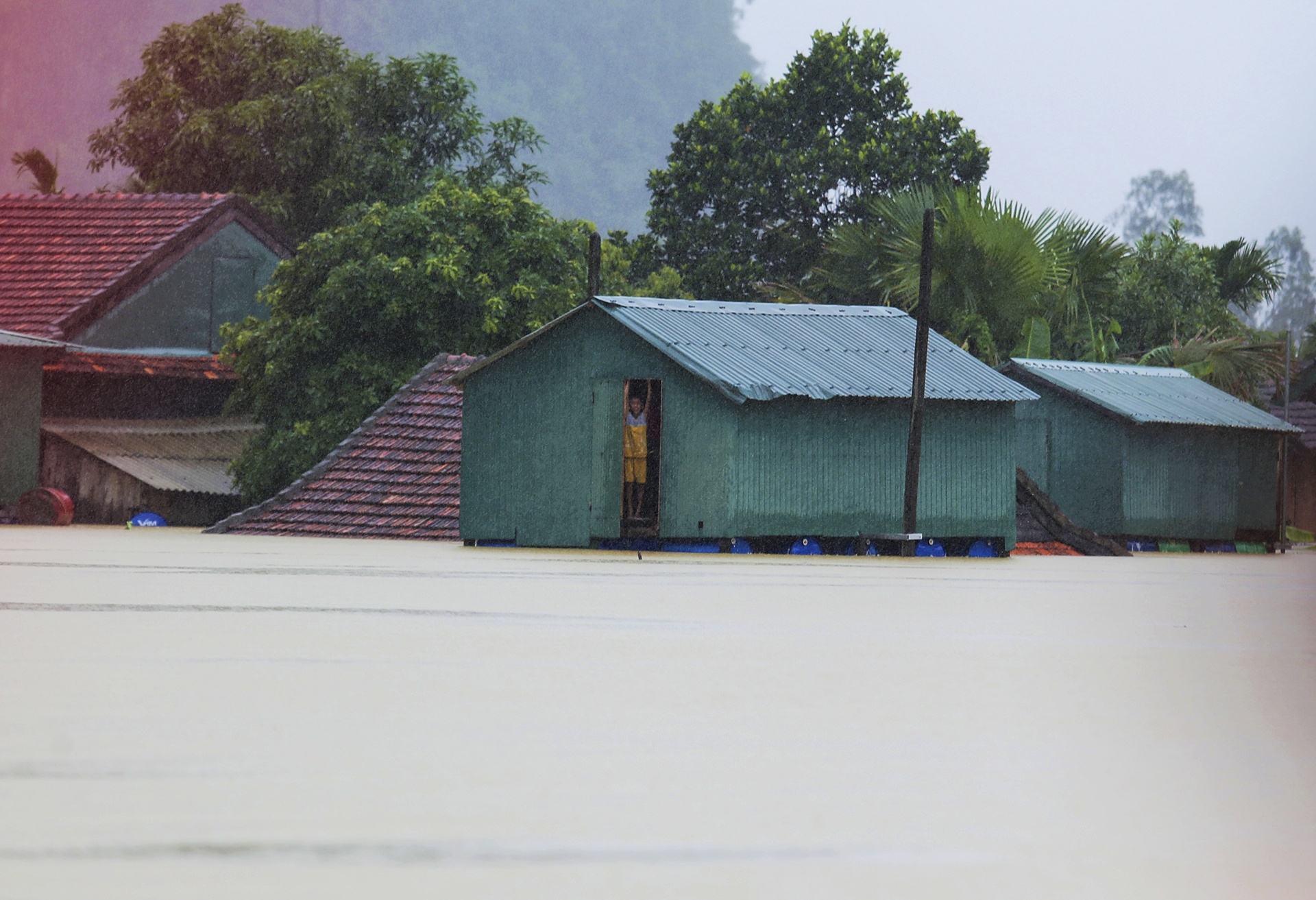 ron lu Quang Binh ngap sau anh 5