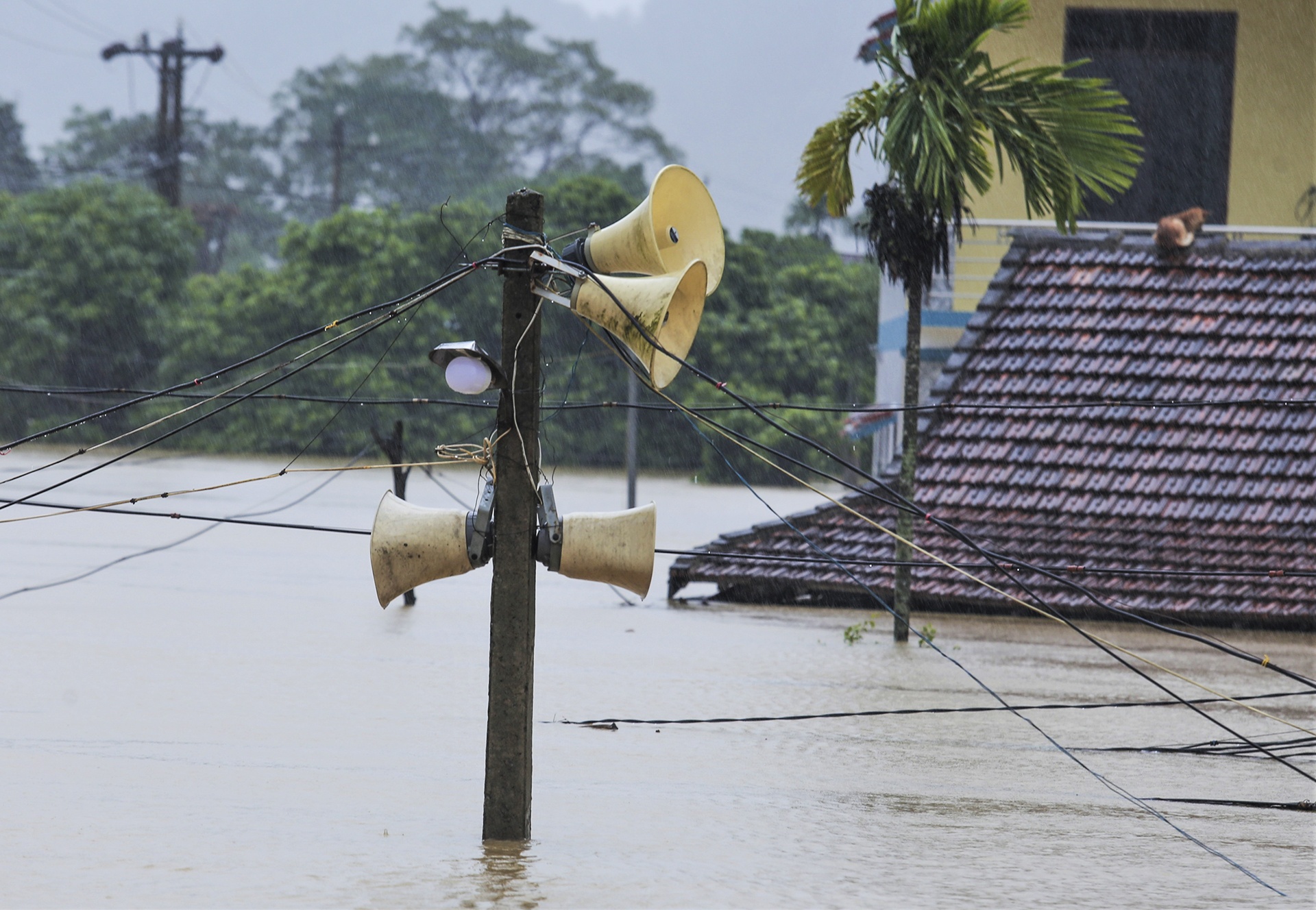 ron lu Quang Binh ngap sau anh 14
