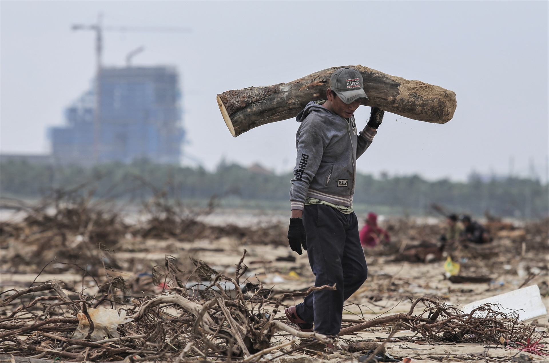 Xac cay, rac ngap bai bien Nhat Le sau mua lu hinh anh