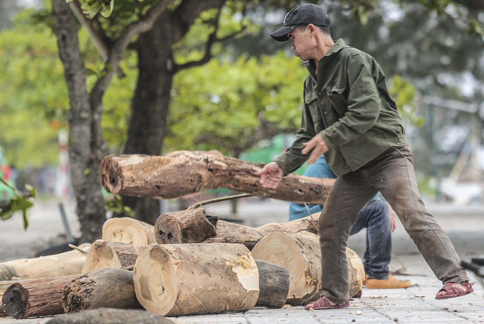 bai bien Nhat Le ngap rac anh 10