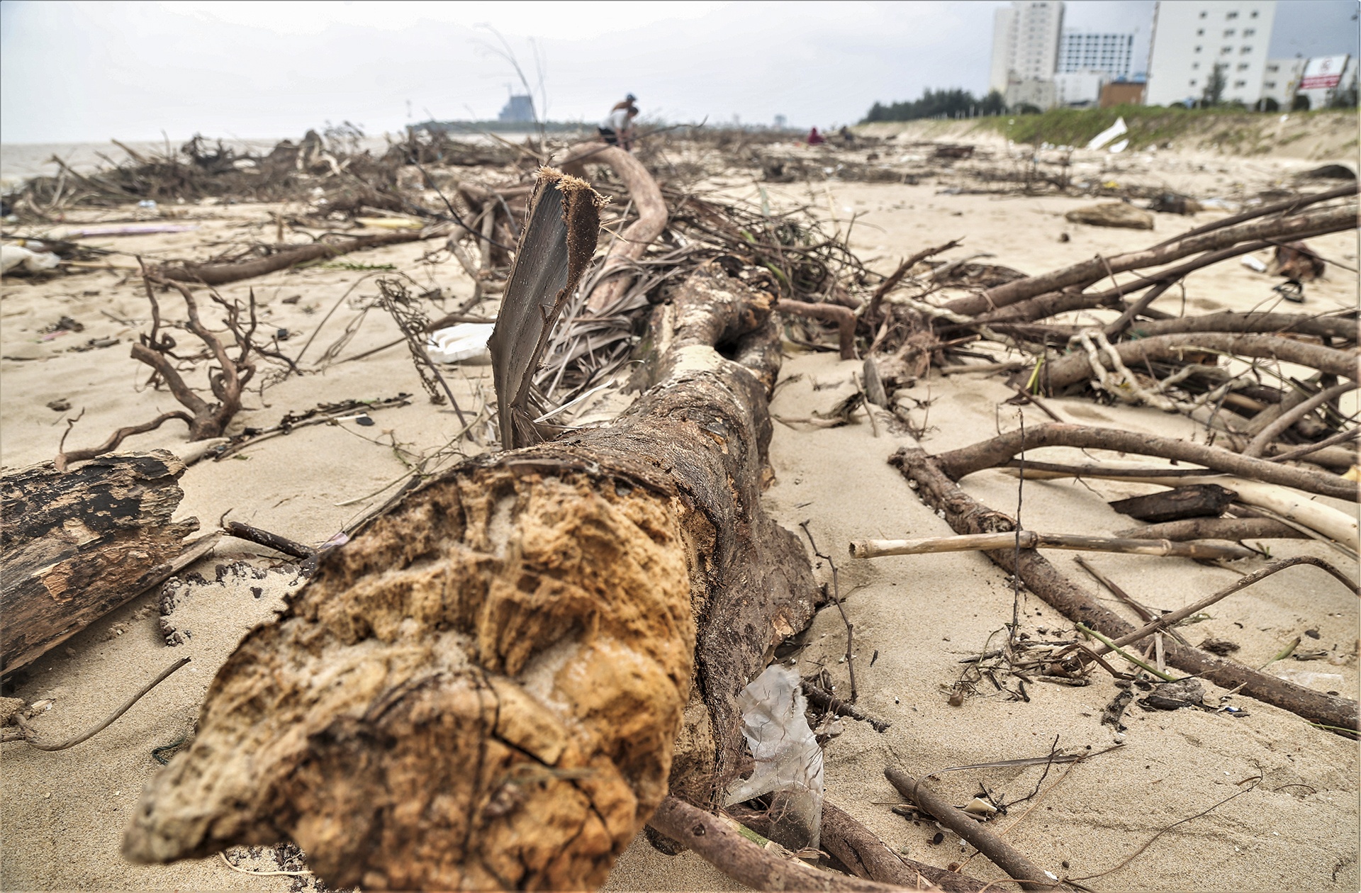 bai bien Nhat Le ngap rac anh 4