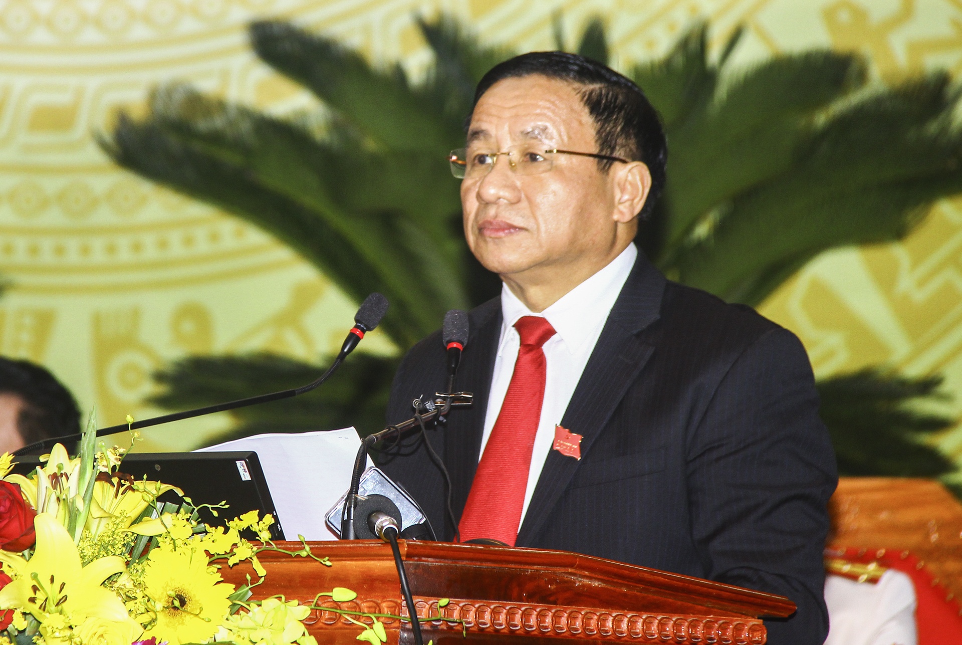 Dai hoi Dang bo Ha Tinh anh 8