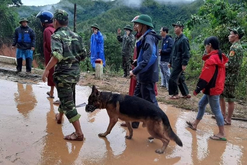 sat lo dat vui lap nguoi anh 2