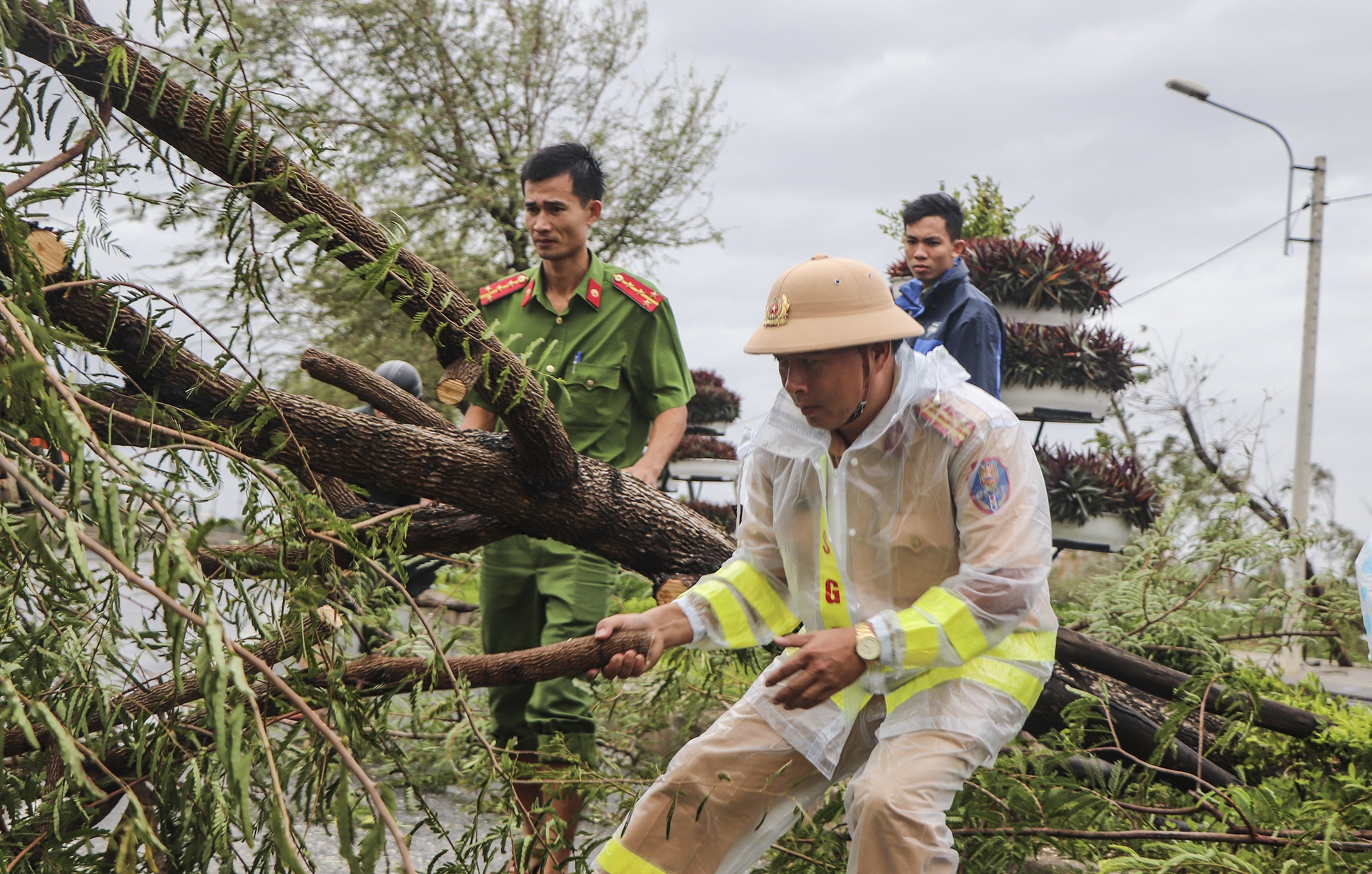 bao so 9 do bo anh 5