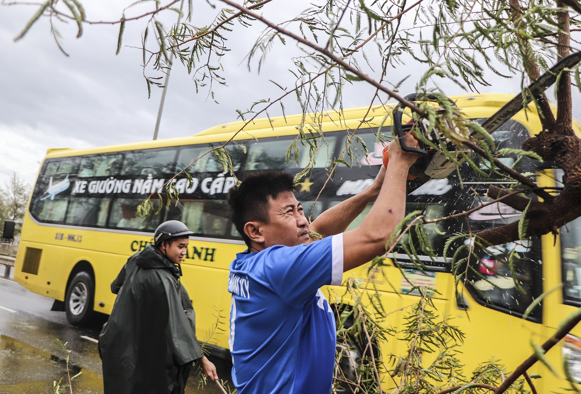 bao so 9 do bo anh 7