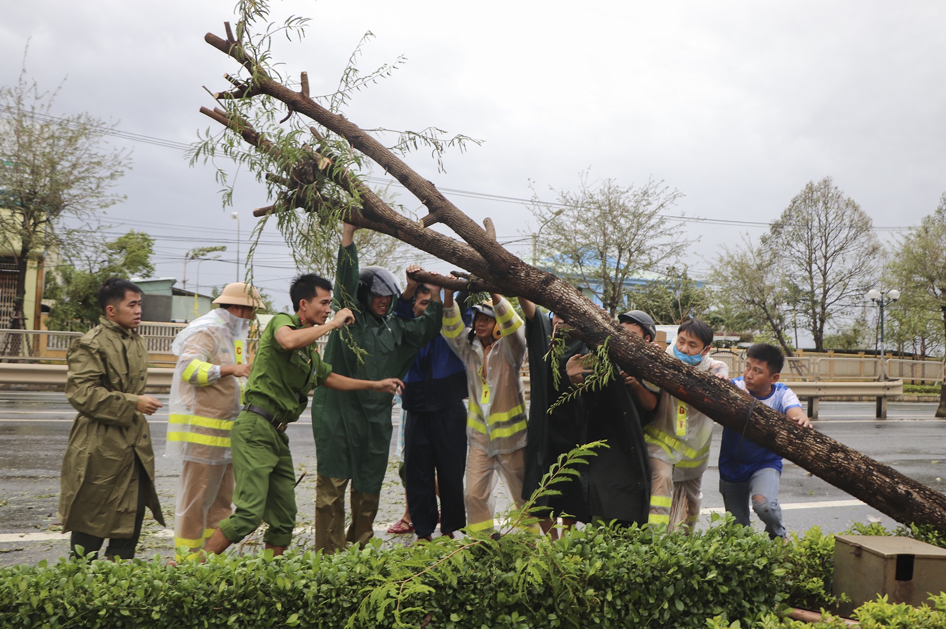 bao so 9 do bo anh 6