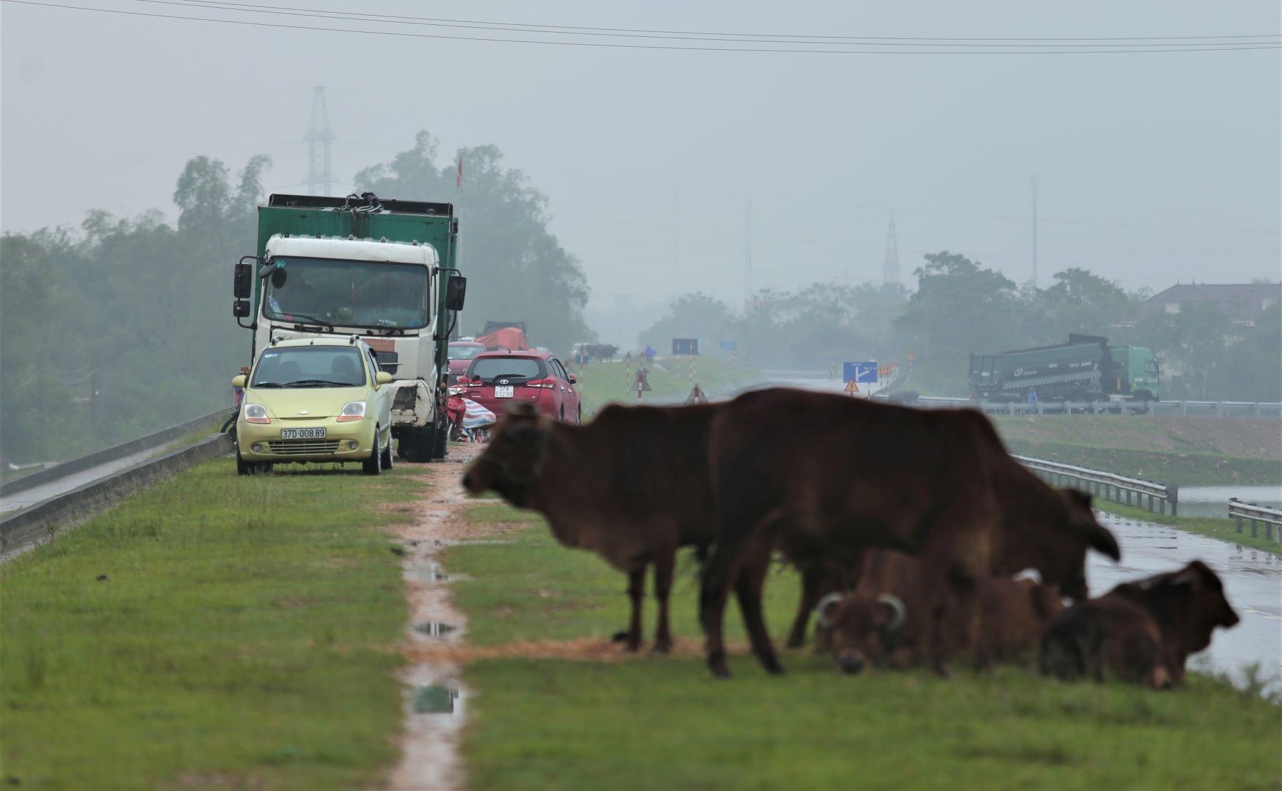 chay lu o Nghe An anh 9