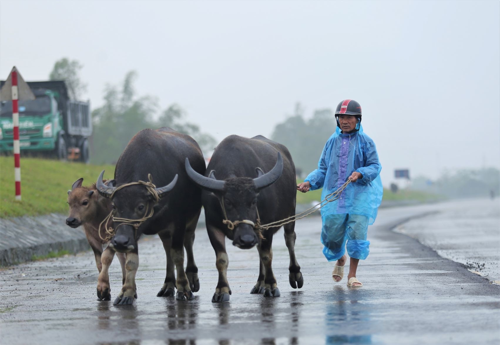 chay lu o Nghe An anh 12