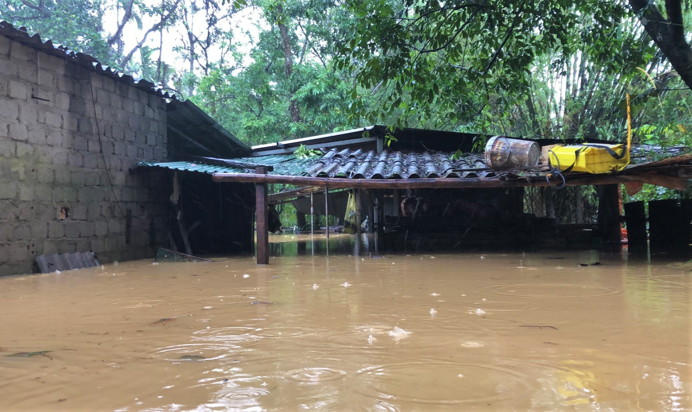 chay lu o Nghe An anh 3