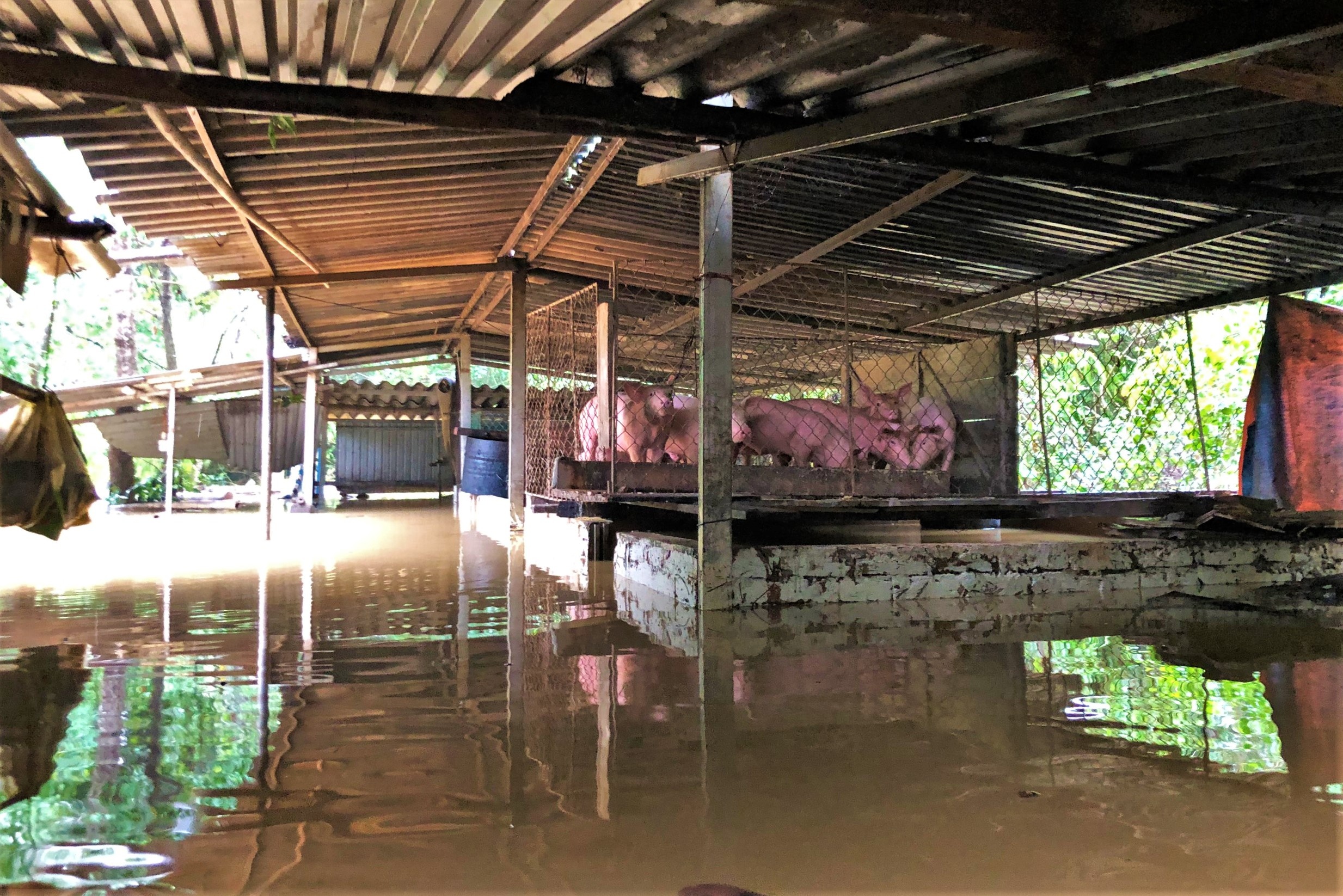 co lap do mua lu anh 11