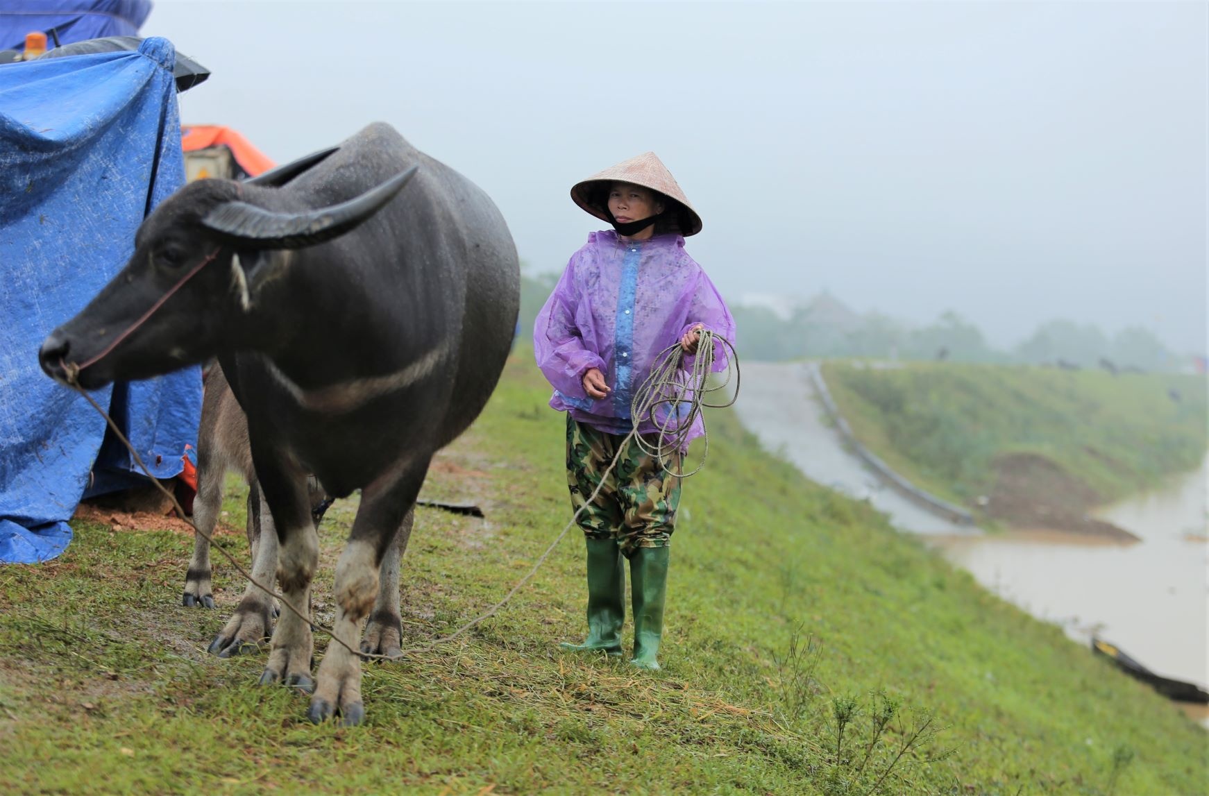 chay lu o Nghe An anh 7