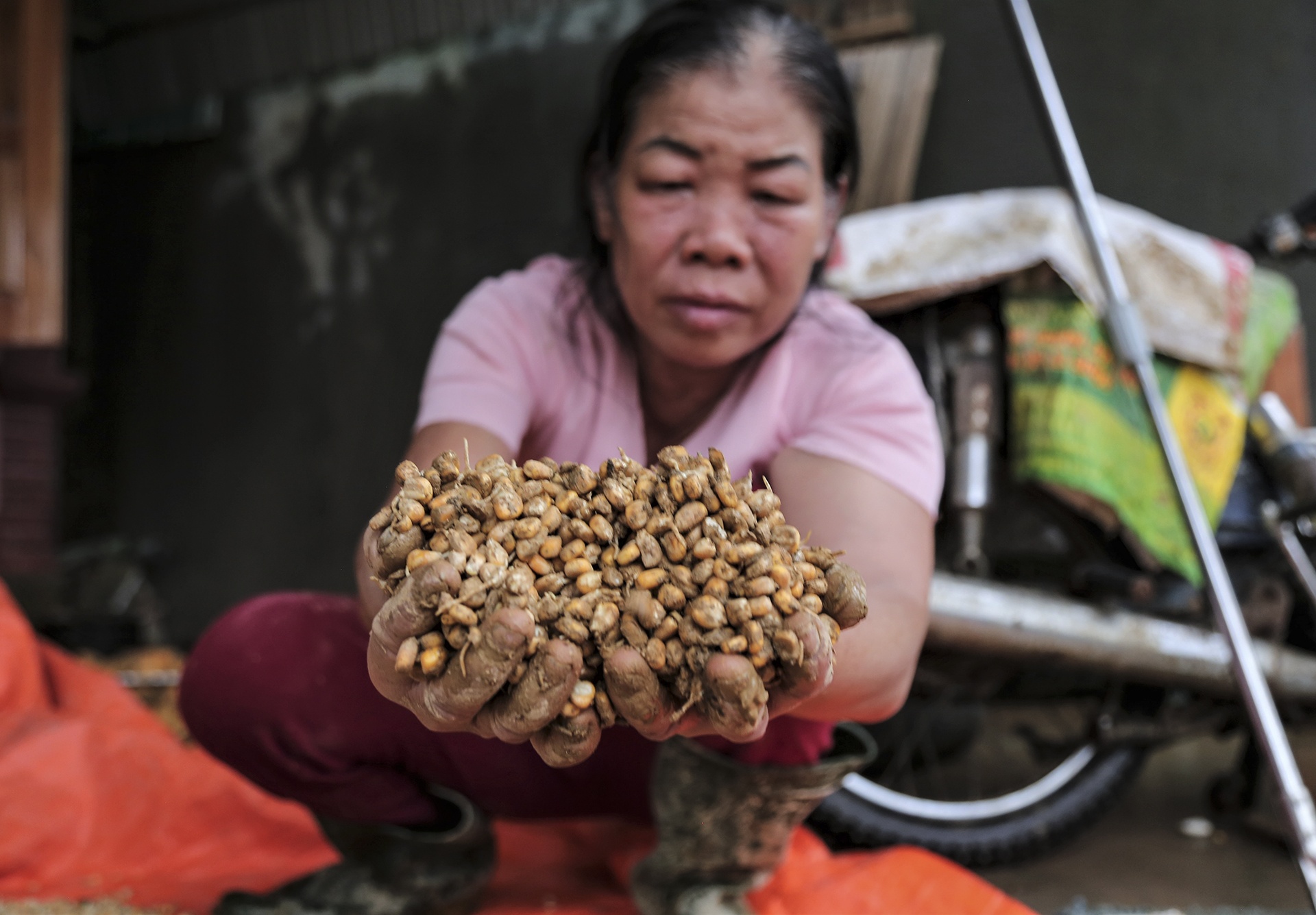 lu cham mai nha o Nghe An anh 7