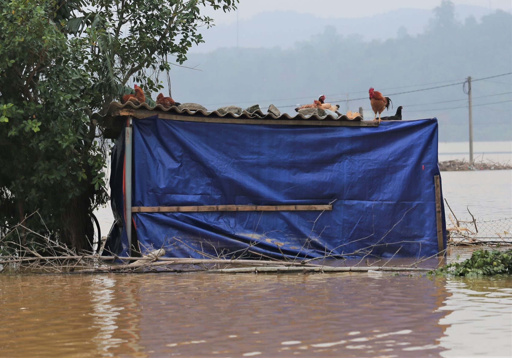 co lap do mua lu anh 8