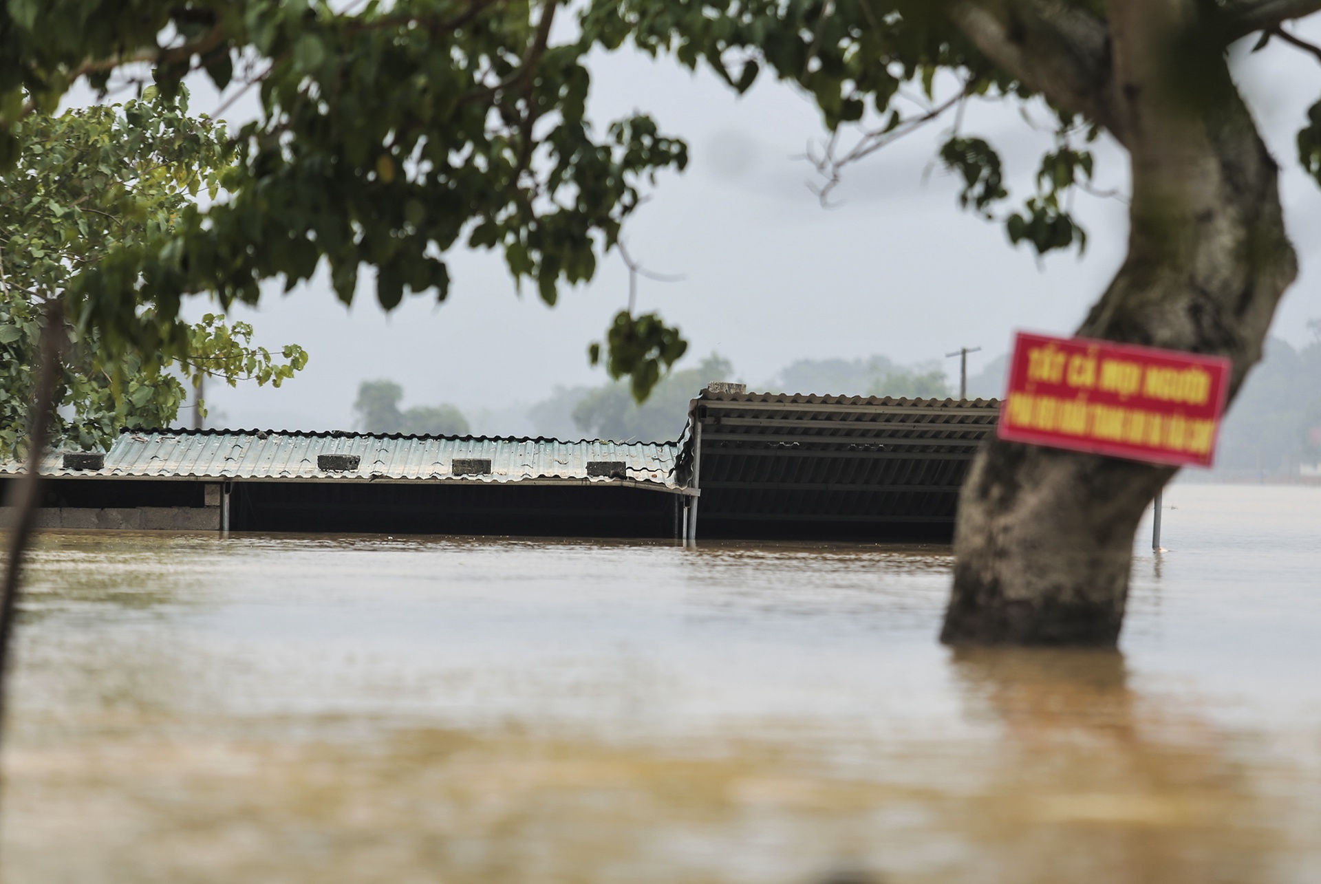 co lap do mua lu anh 4