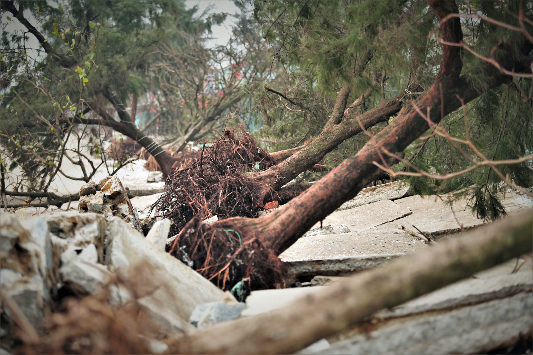 ke bien Cua Lo bi song danh tan anh 10