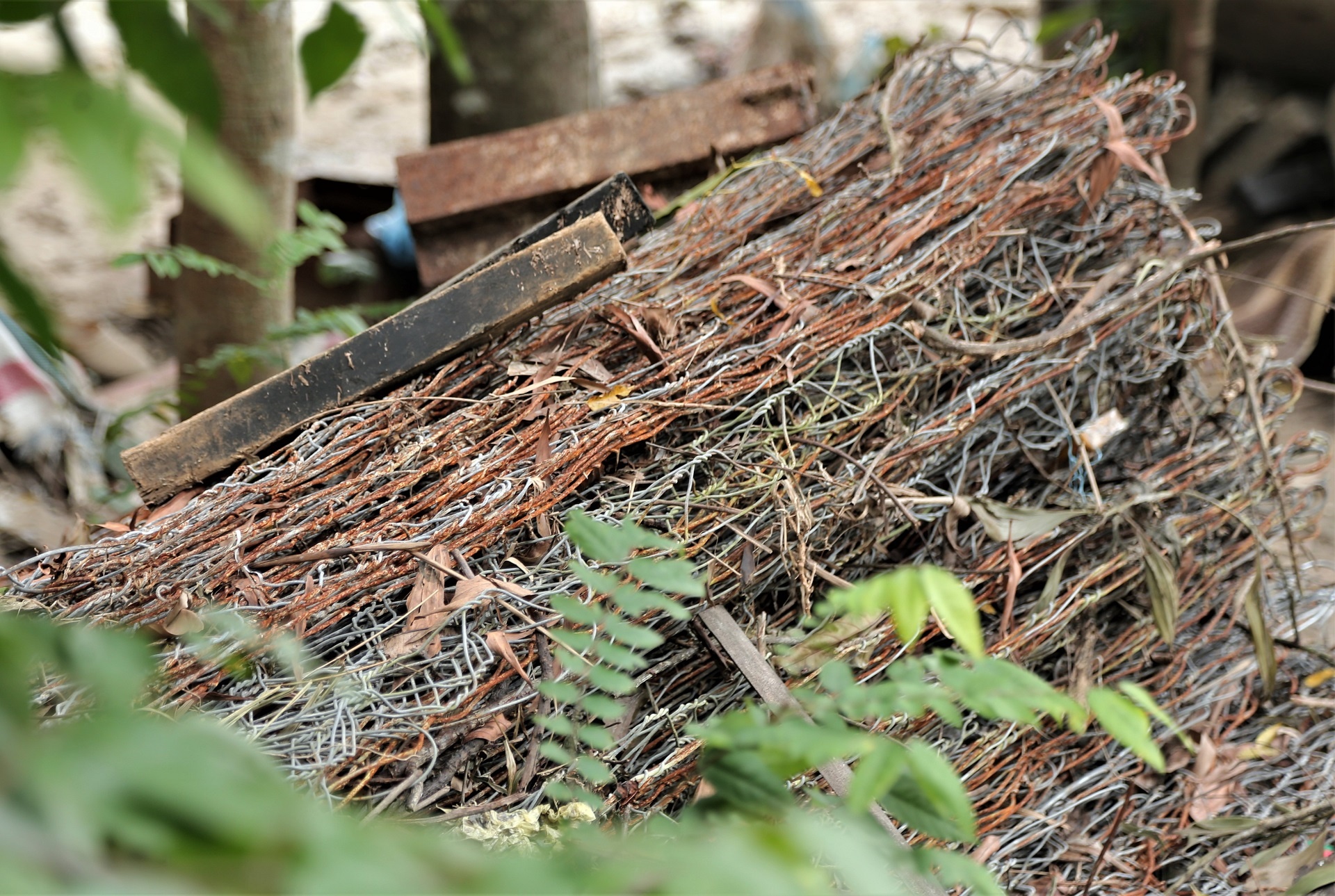 nha dan sut lun doc bo ke anh 8