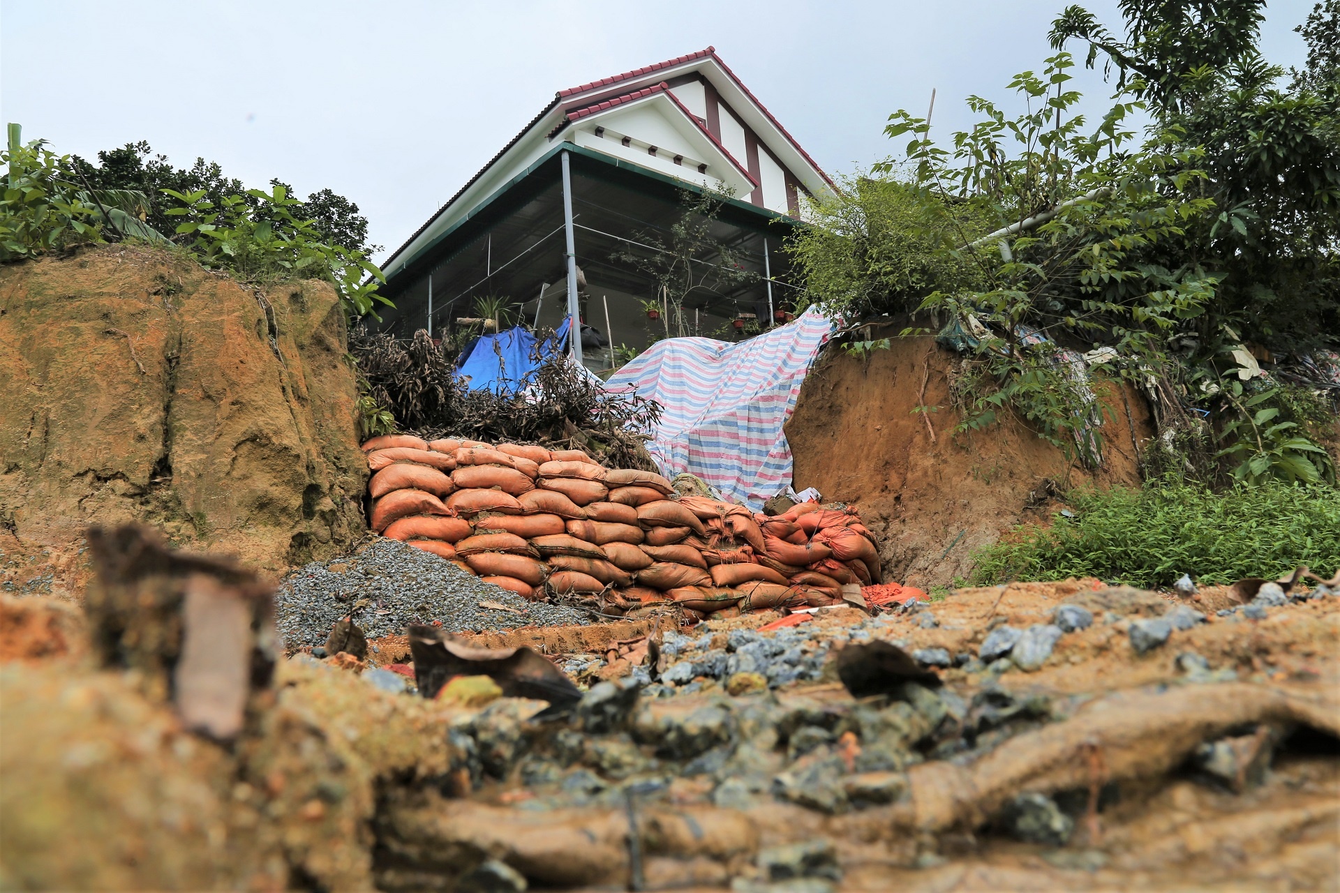 nha dan sut lun doc bo ke anh 6