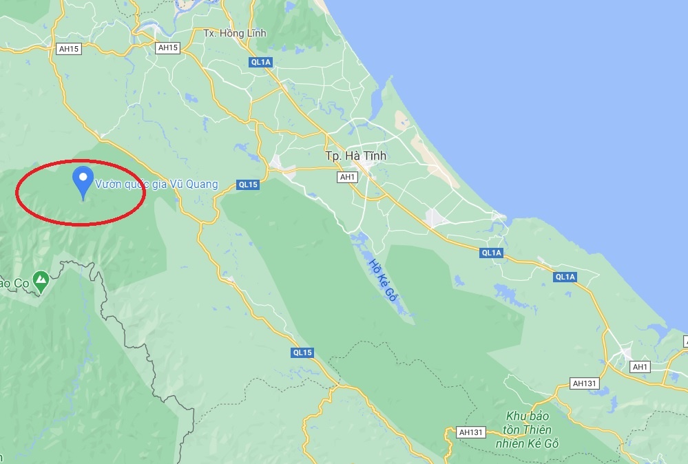 bat duoc tran gam anh 2