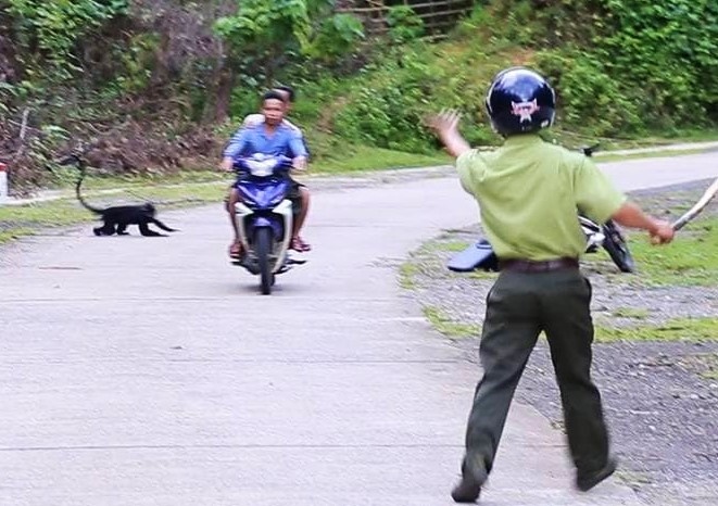 Vooc gay trang lai lao ra duong can nguoi hinh anh