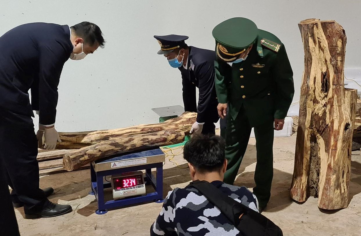 Phat hien 2 tan go trac va phao lau tren xe tai tu Lao qua Viet Nam hinh anh