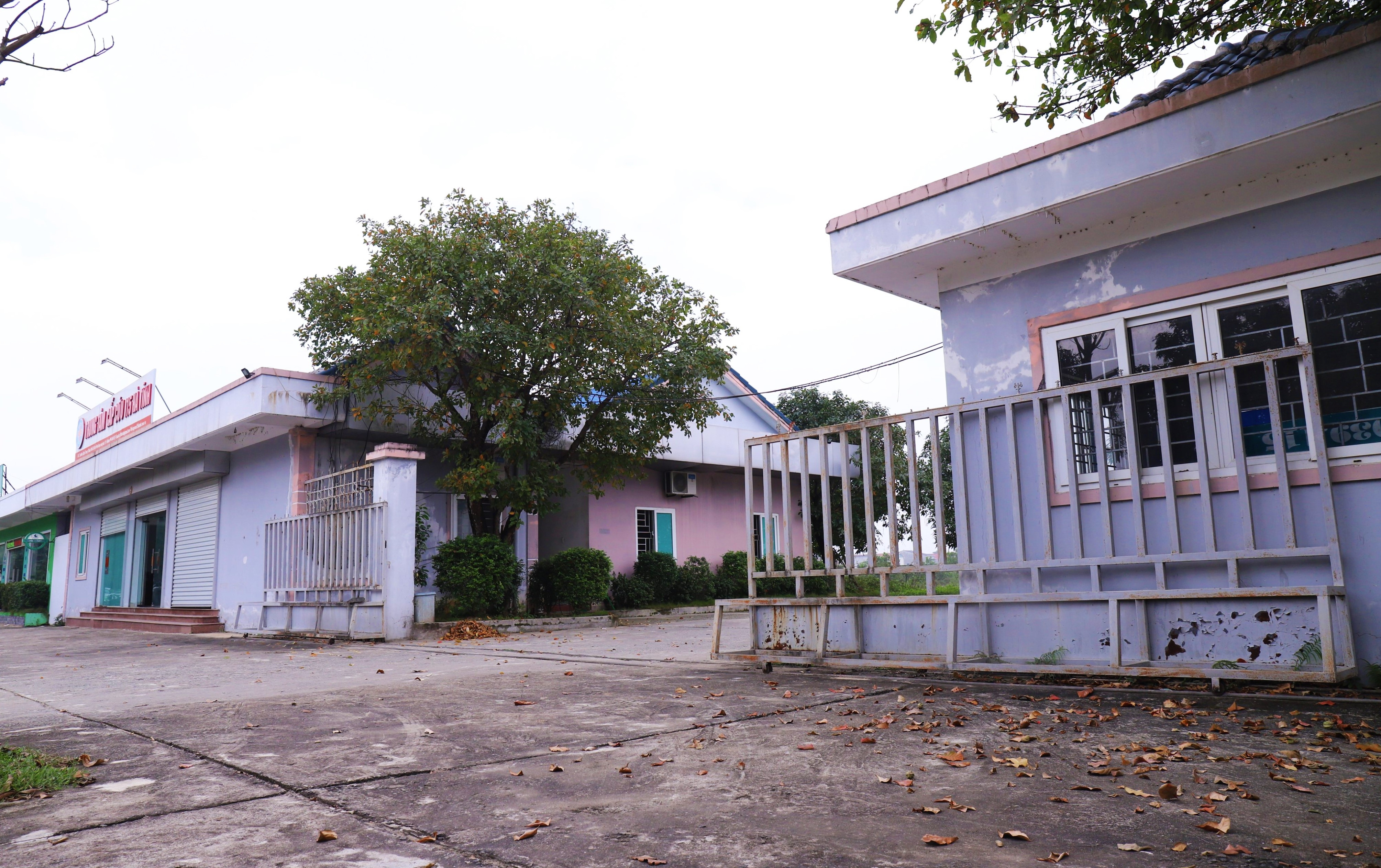 du an cham tien do anh 2