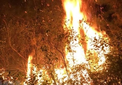 1.100 nguoi dap dam chay rung trong Soc Son hinh anh