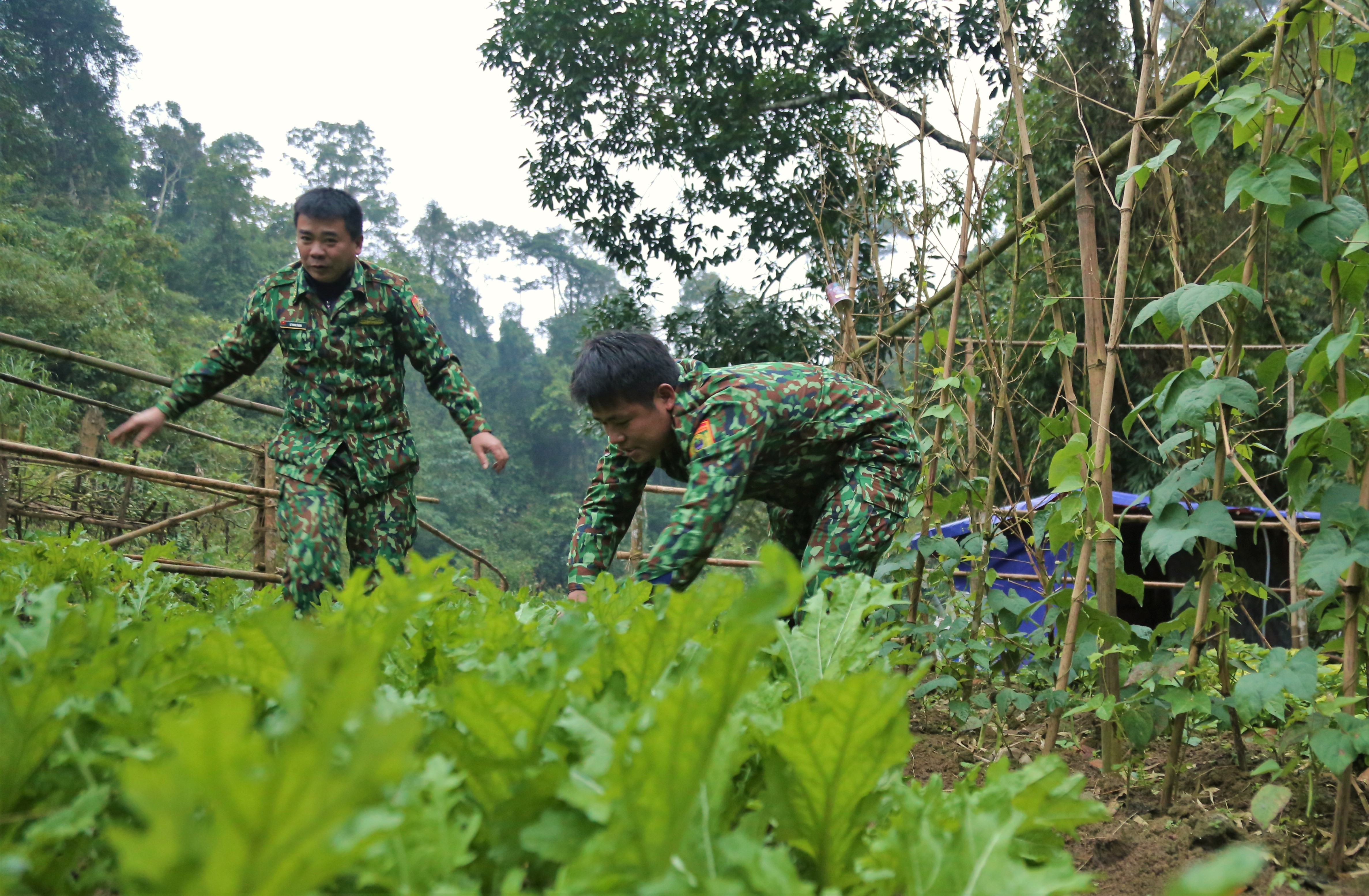 chốt phòng dịch Covid-19 vùng biên ảnh 29 chot phong dich Covid-19 vung bien anh 29