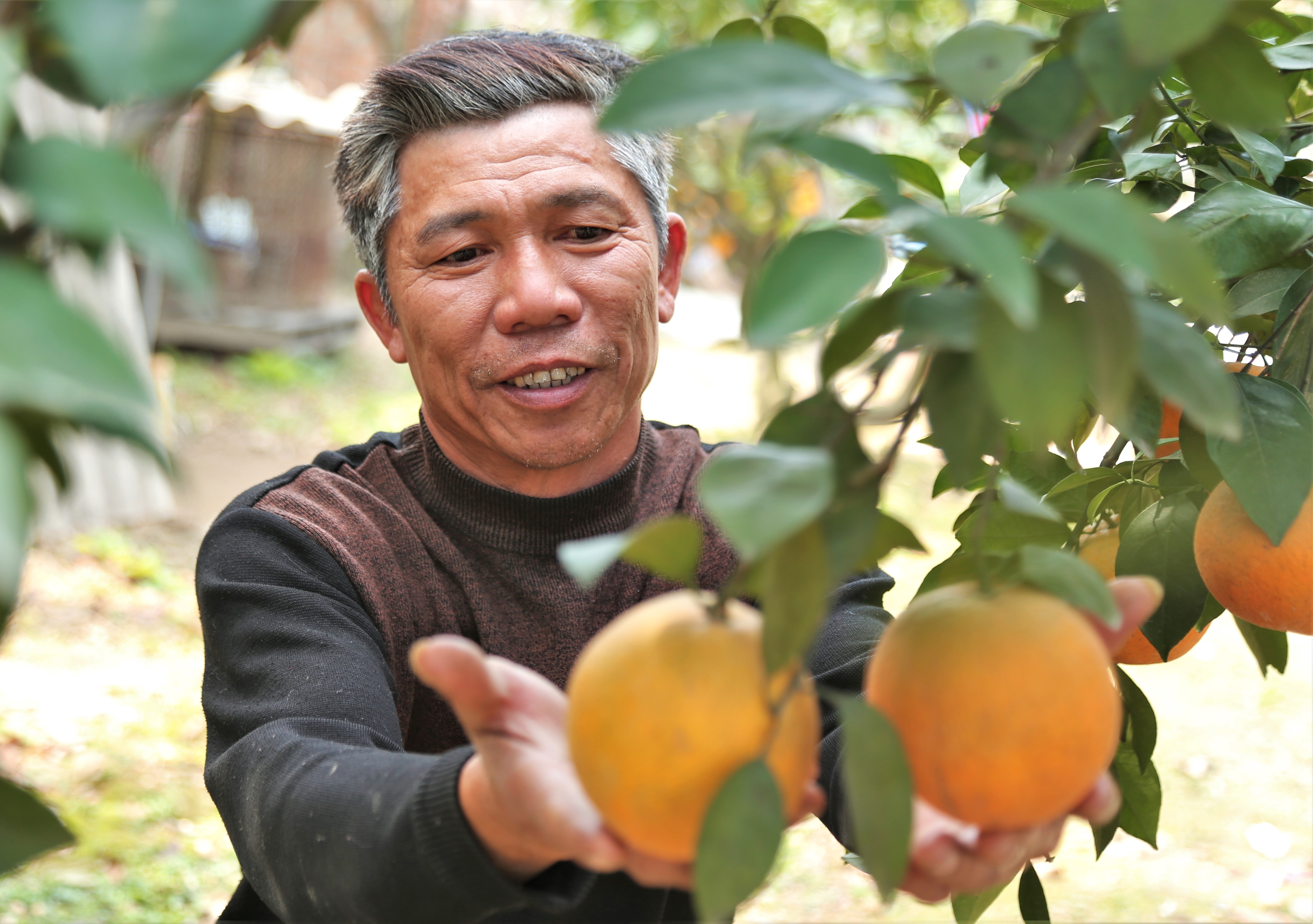 80.000 dong mot qua, cam Xa Doai khong du ban dip Tet hinh anh