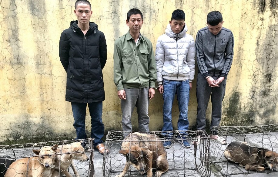 Canh sat no sung khong che ke trom cho hinh anh