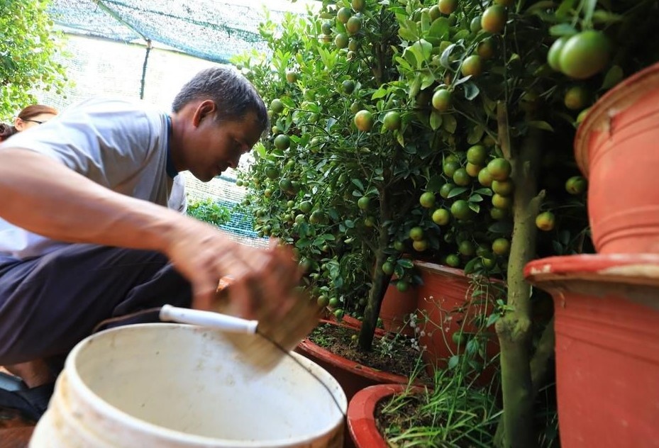 Tam giu nhom cuong doat tien cua nguoi ban cay canh Tet hinh anh