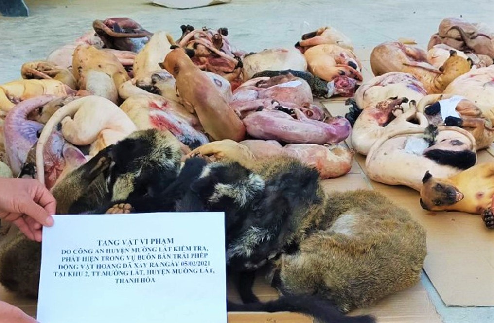 Gom 200 kg thit dong vat hoang da de ban kiem loi hinh anh