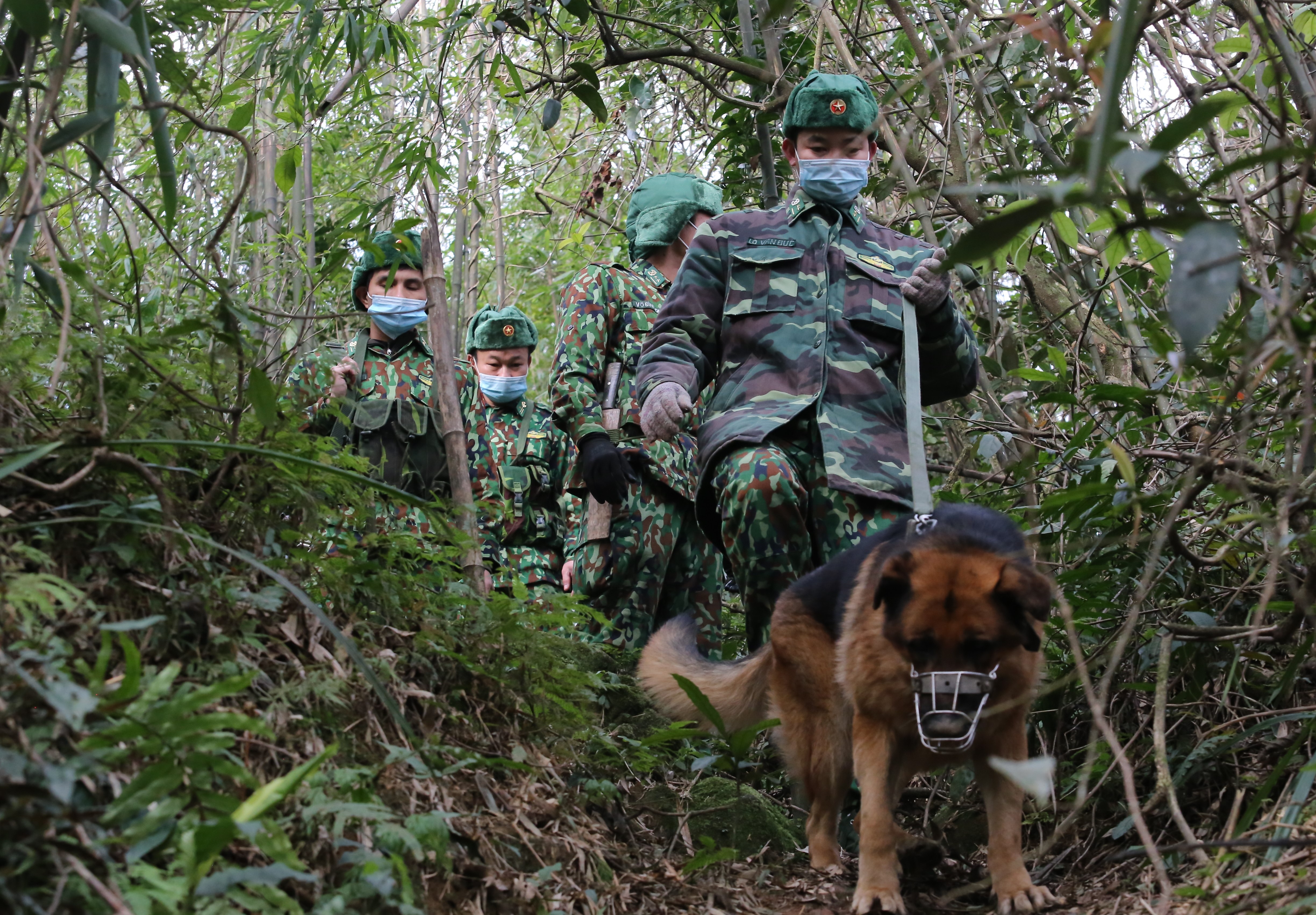 'Qua Tet, het dich, anh ve cuoi em' hinh anh